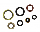 Kit Paraoli Motore Husqvarna TC 250 2T - TE 300 2T