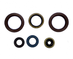 Kit Paraoli Motore KTM EGS 125 2T - EXC 125 2T Sixdays - EXC 200 2T