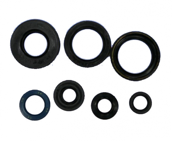 Kit Paraoli Motore Yamaha YZ 85 LW 19/16 Zoll Rad 