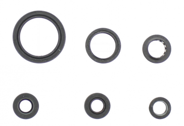 Kit Paraoli Motore Suzuki DR-Z 400