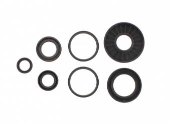 Kit Paraoli Motore Honda NSC 110 MPD Vision