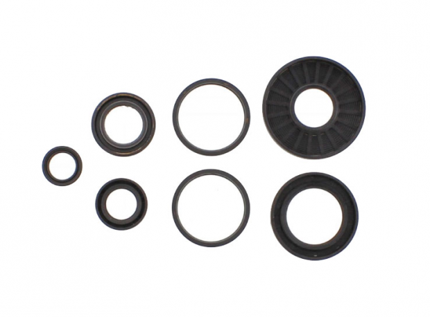 Kit Paraoli Motore Honda NSC 110 MPD Vision 