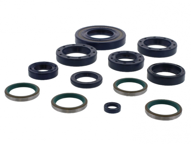 Kit Paraoli Motore Ducati Monster 620 S ie - Monster 800 S2R 