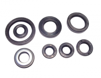 Kit Paraoli Motore Yamaha YFM 660 RR