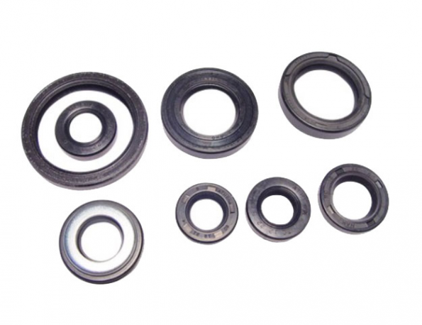 Kit Paraoli Motore Yamaha YFM 660 RR
