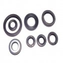 Kit Paraoli Motore Yamaha YFM 660 RR