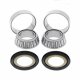 Kit Cuscinetto DI Sterzo Honda - Triumph