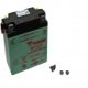 Batteria 6N11A-3A YUASA Vespa 50 50 E-Start - Touren 150 T 3 