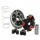 Variatore MALOSSI Multivar 2000 Aeon - Kymco