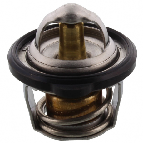 Termostato Yamaha WR 250 R - WR 250 X 