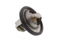 Termostato Aprilia RS 250