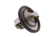 Termostato Aprilia RS 250