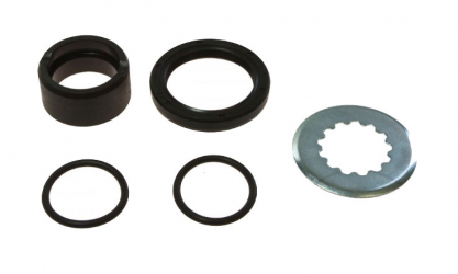 Kit Revisione Alberino Cambio Suzuki DR-Z 400 SMU - DR-Z 400 E