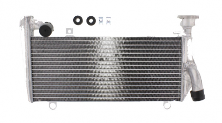 Radiatore Acqua Superiore Ducati Panigale 899 ABS - Panigale 1199 S
