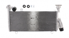 Radiatore Acqua Superiore Ducati Panigale 899 ABS - Panigale 1199 S