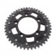 Corona ZF Dual 45 Denti Passo 520 Nero Ducati 