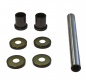 Kit Revisione Forcellone Suzuki TS 125 - TS 125 ER 