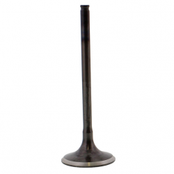 Valvola Aspirazione In Acciaio Honda TRX 400 EX FourTrax