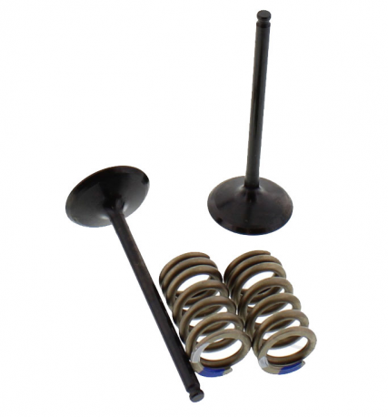 Road Passion Kit Valvole Motore (2 Aspirazione + 2 Scarico) Per Suzuki Djebel 250, DR250, DR-Z 250, KLX250, KLX300, Kawasaki BR250, Ninja 250SL