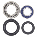 Cuscinetti Ruota Posteriore Yamaha YFM 400 FWA FAM Kodiak 4WD