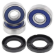 Cuscinetti Ruota Posteriore Honda CBR 500 RA ABS 