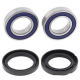 Cuscinetti Ruota Posteriore Yamaha YFM 90 RYXG Raptor 
