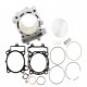 Kit Cilindro 487 CC Kawasaki KX 450 F 