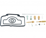 Kit Revisione Carburatore Suzuki RMX 250