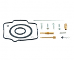 Kit Revisione Carburatore Suzuki RM 250