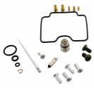Kit Revisione Carburatore Polaris Predator 500