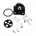 Kit Revisione Rubinetto Benzina Kawasaki ER 500 A Twister