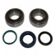 Kit Cuscinetti Albero Motore KTM EXC 400 Racing - SX-F 250 4T 