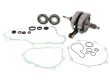 Kit Albero Motore Completo Wiseco Yamaha YZ 450 F 