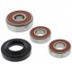 Kit Revisione Ruota Posteriore Yamaha YZ 80 