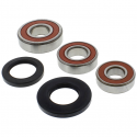 Kit Revisione Ruota Posteriore Honda VF 1000 R