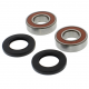 Kit Revisione Ruota Posteriore Kawasaki KLX 250 - KX 125 K 