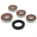 Kit Revisione Ruota Posteriore Honda CBF 250
