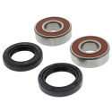 Kit Revisione Ruota Posteriore Kawasaki Z1R 1000 - Z 900 A - Z 650 SR