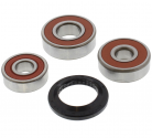 Kit Revisione Ruota Posteriore Honda ANF 125 - Honda AFS 110