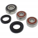 Kit Revisione Ruota Posteriore Honda CB 600 S F2 Hornet S