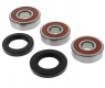 Kit Revisione Ruota Posteriore Honda CBR 500 RA ABS 