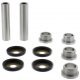 Kit Revisione Braccio Oscillante Yamaha YFM 