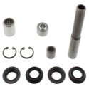 Kit Revisione Braccio Oscillante Kawasaki KVF 650 F Brute Force