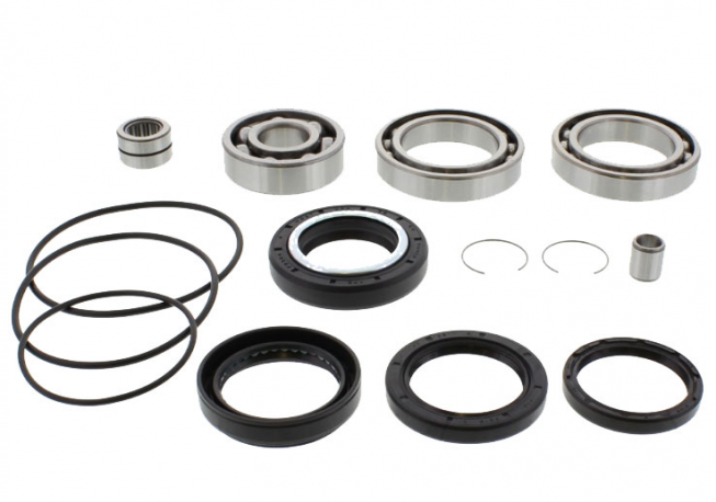 Kit Revisione Differenziale Honda TRX 300 FW Fourtrax 4WD 