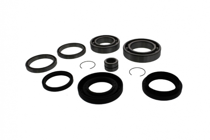 Kit Revisione Differenziale Honda TRX 420 TM FourTrax 