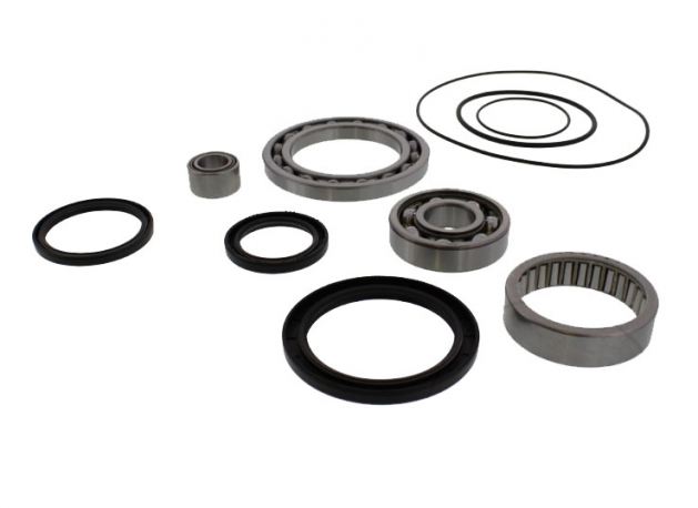 Kit Revisione Differenziale Yamaha YFM 350 - YFM 250 XM 