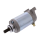 Motorino D'avviamento Yamaha YFM 250 RX