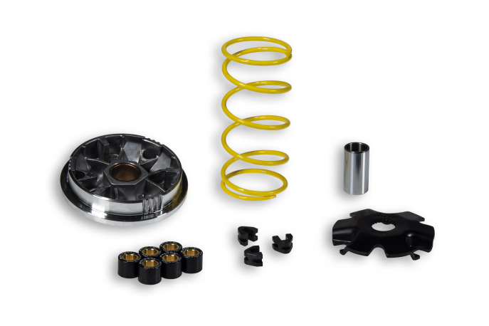 Variatore Malossi Malaguti F-12-Phantom 100 2T - Ciak 100 2T