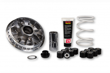 Variatore Malossi Honda Forza X 300 - SH I 300