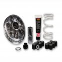 Variatore Malossi Honda Forza X 300 - SH I 300